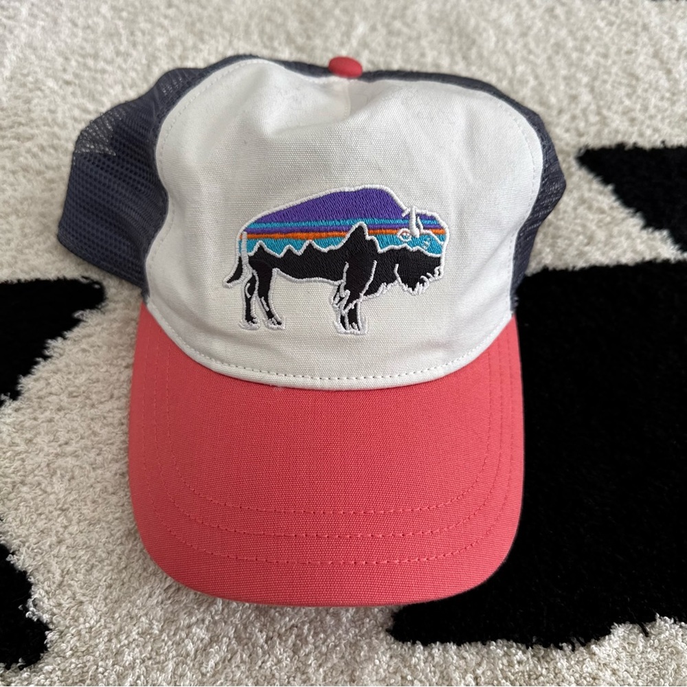 Patagonia Hat with Scenic Bison Design